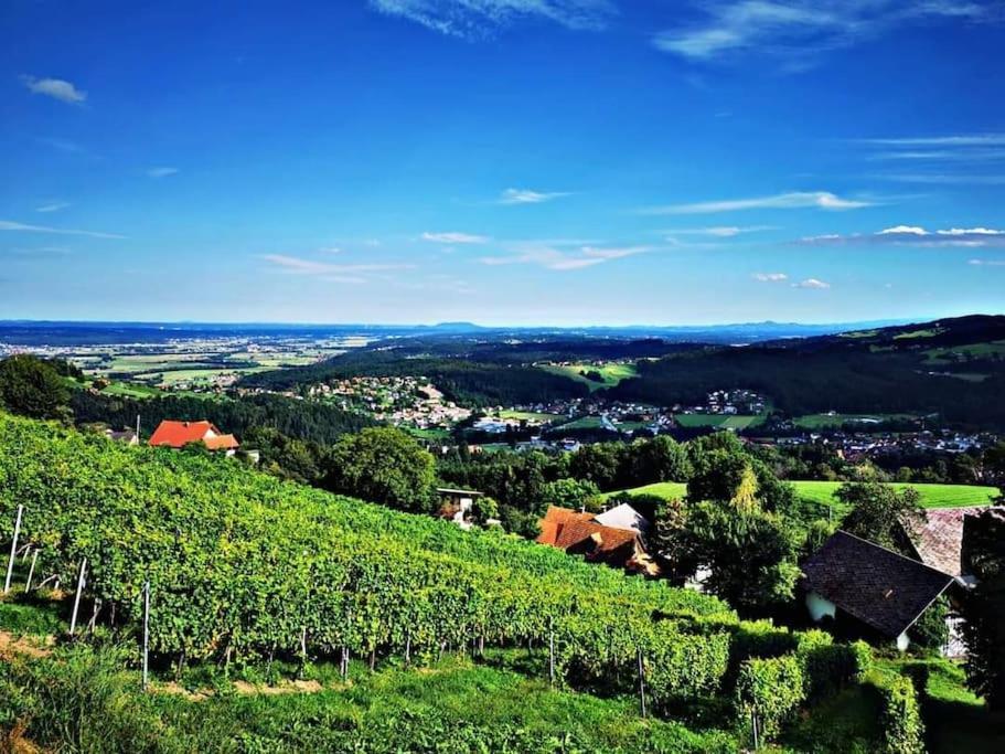Wiednermichl - Urlaub In Den Weinbergen Krottendorf bei Ligist Exterior photo